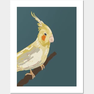 cockatiel illustration Posters and Art